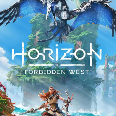 Horizon Forbidden West Sokorra